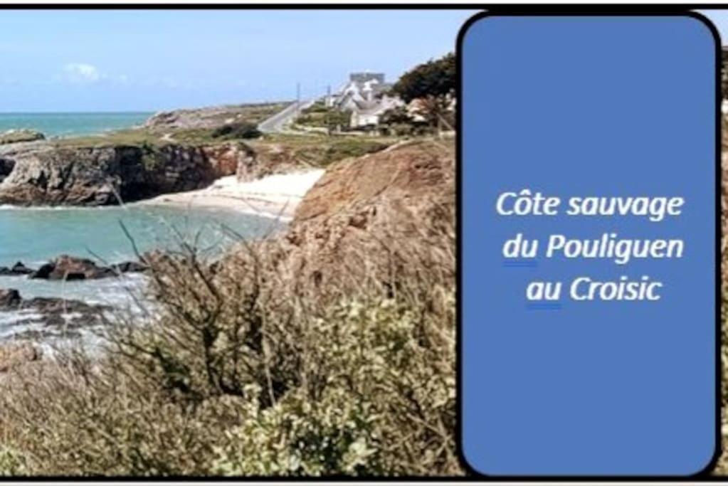 Apartment Escapade A Pornichet/wi-fi/parking/bord De Pornichet
